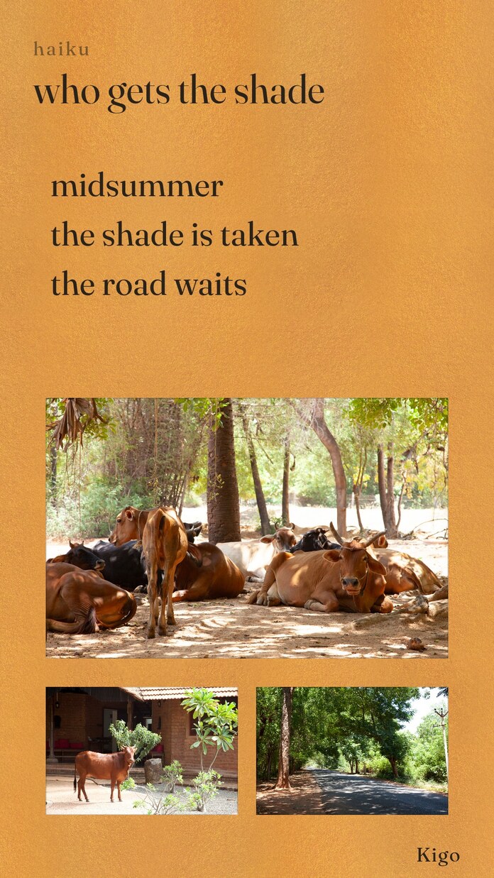 A haiku card: midsummer / the shade is taken / the road waits