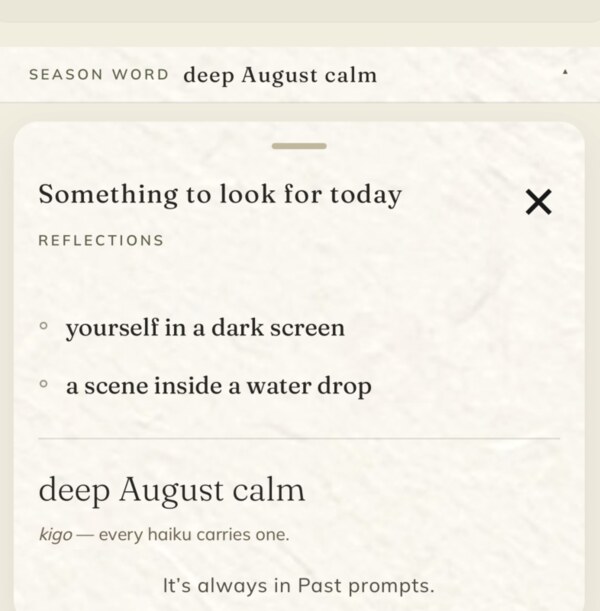 Kigo shows three small prompts each morning