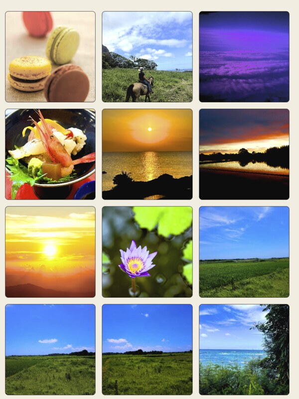 A grid of photos Kigo has enhanced, kept in your photo album